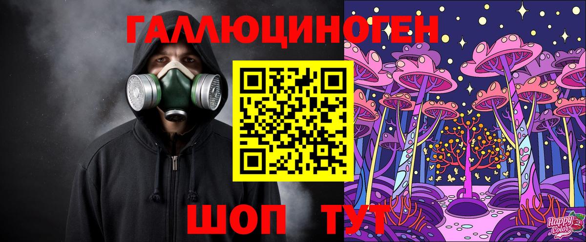 Галлюциногенные грибы Psilocybe Королёв