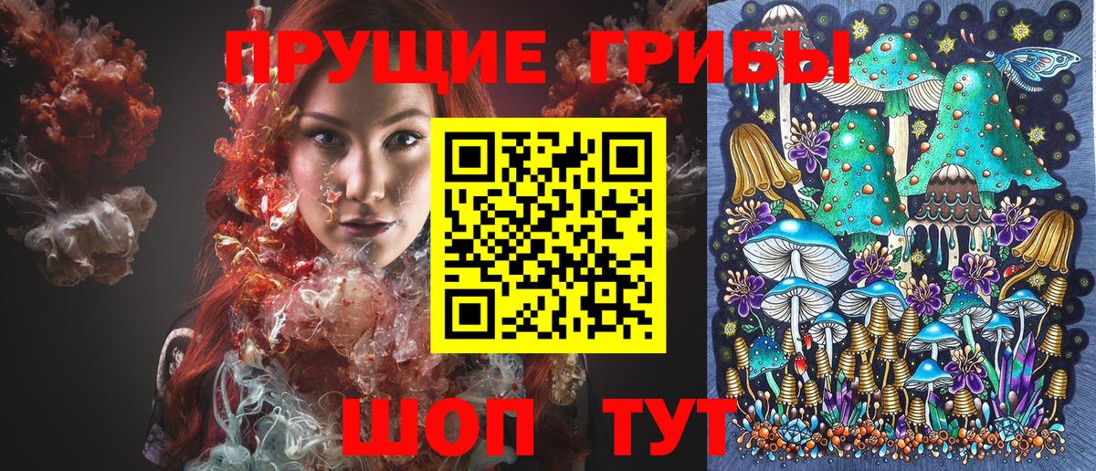 Королёв  Псилоцибиновые грибы ЛСД  Вход с VPN 